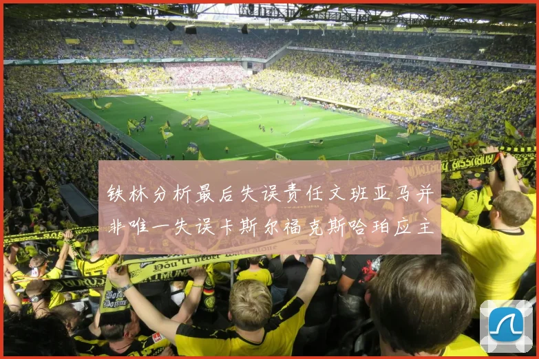 铁林分析最后失误责任文班亚马并非唯一失误卡斯尔福克斯哈珀应主动接球